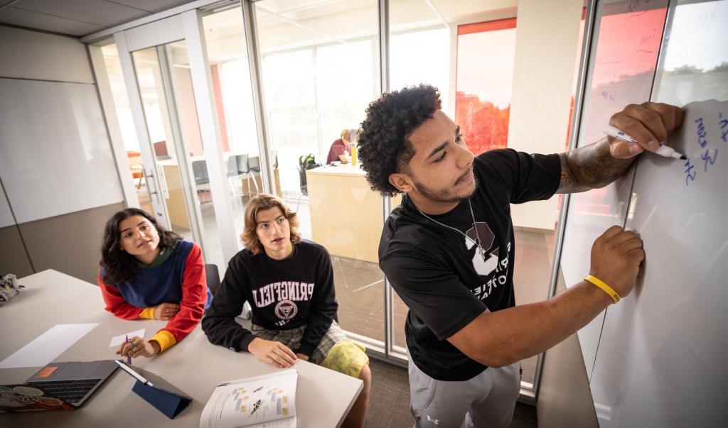 Students Studying in the Learning Commons in Study Rooms.