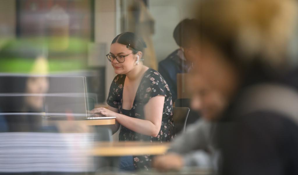 Springfield College students study in the Harold C. Smith Learning Commons on Tuesday, September 19, 2023.