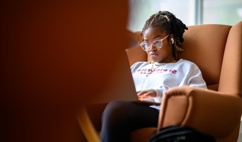 Springfield College students study in the Harold C. Smith Learning Commons on Tuesday, September 19, 2023.